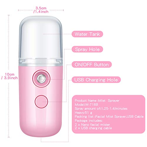 2 Piece Mini Face Humidifier Facial Sprayer