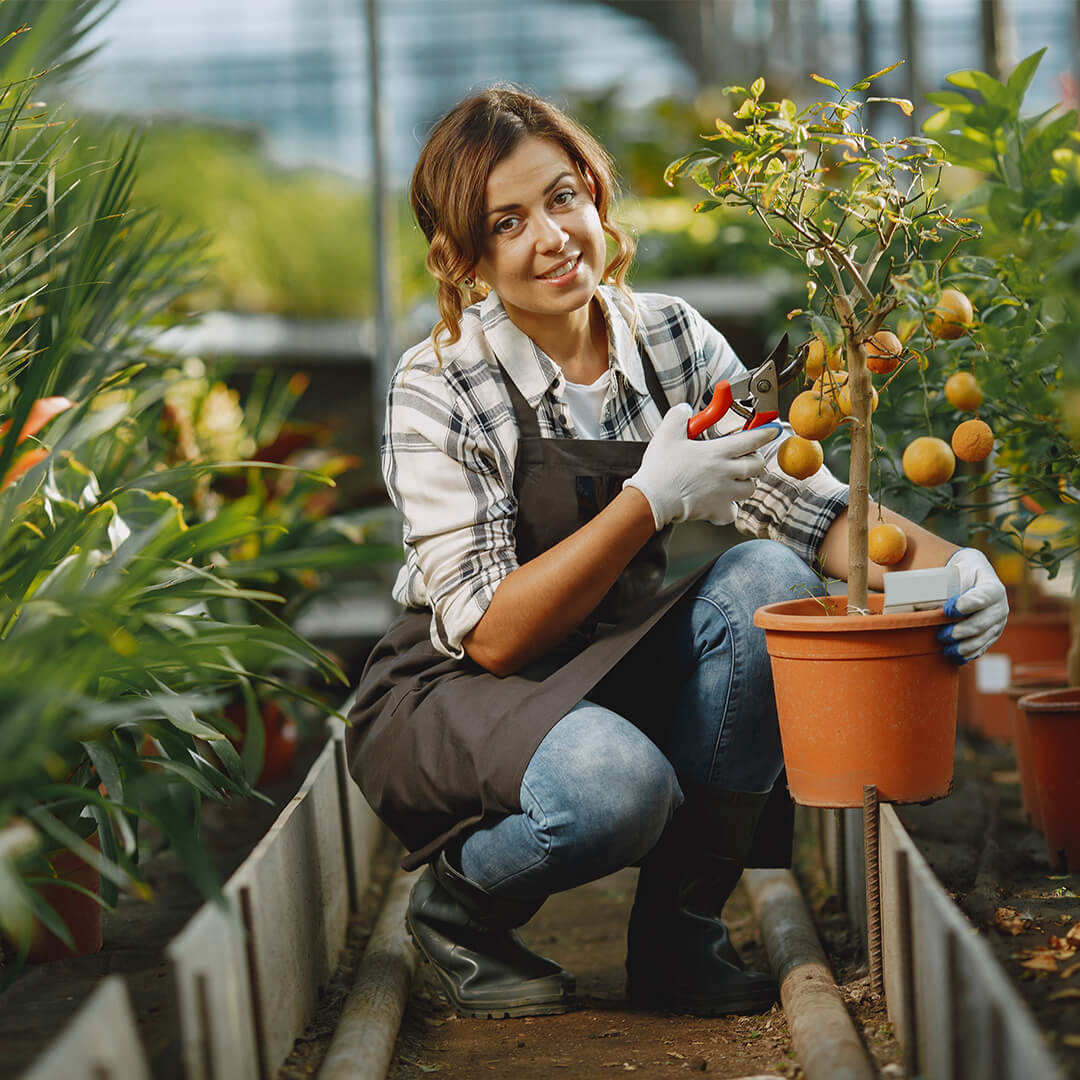 Designing a Garden: Tips for Success