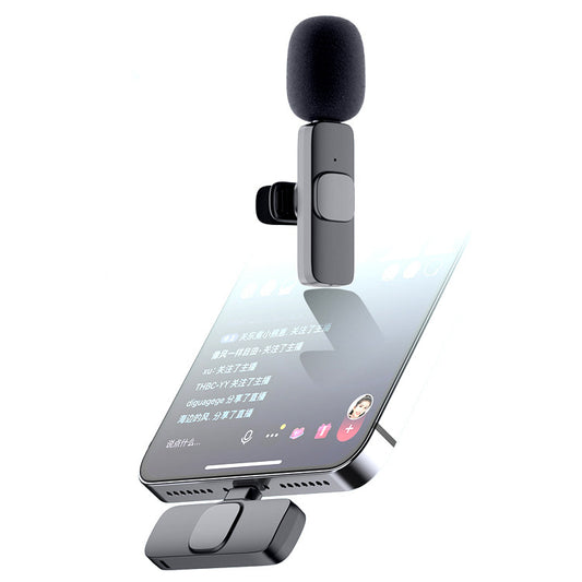 Portable Microphone For Live Interviews