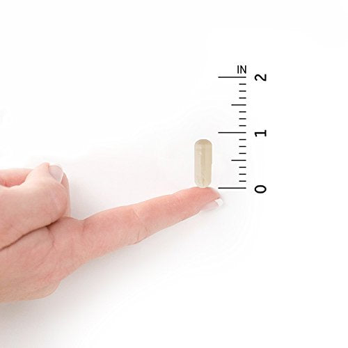 Garden of Life Dr. Formulated Probiotics Mood+ Acidophilus Probiotic Supplement