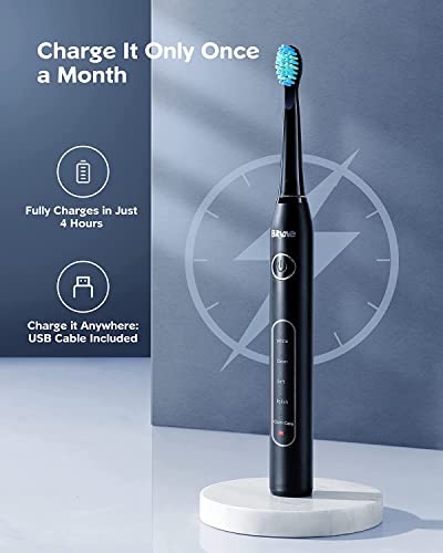 Bitvae Electric Toothbrush with 8 Brush Heads , 5 Modes Sonic Electric Toothbrush
