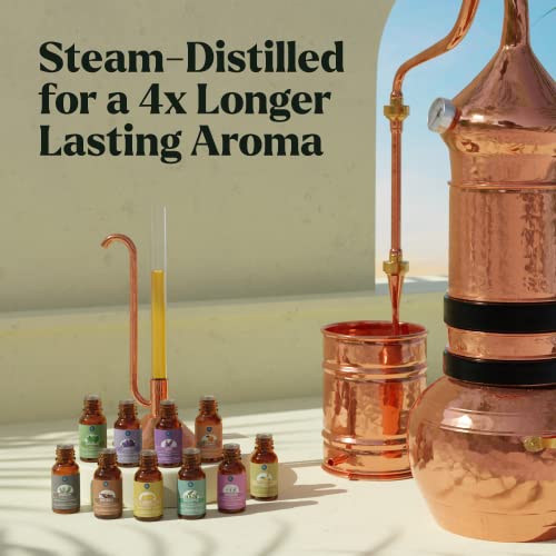 Essential Oils Set - Top 10 Organic Therapeutic-Grade Gift Set Blends for Fragrance