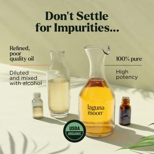 Essential Oils Set - Top 10 Organic Therapeutic-Grade Gift Set Blends for Fragrance