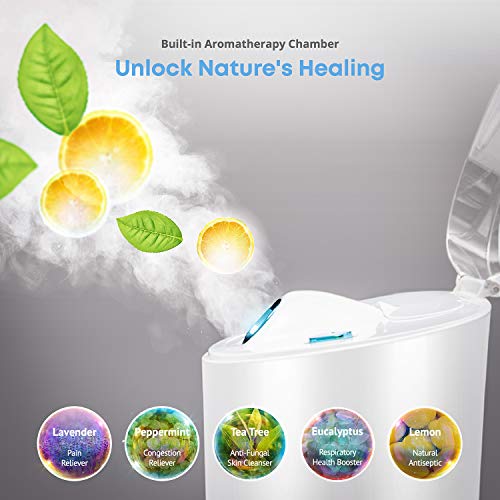 NanoSteamer PRO Professional 4-in-1 Nano Ionic Facial Steamer