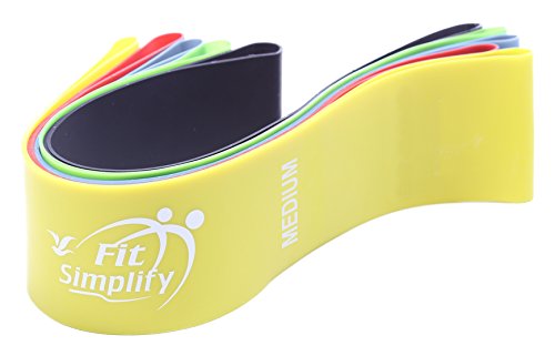 Fit Simplify Resistance Loop Exercise Bands with Instruction Guide and Carry Bag