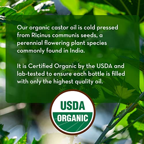 Organic Castor Oil for Eyelashes and Eyebrows with Applicator Kit