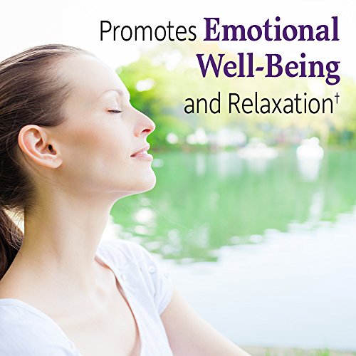 Garden of Life Dr. Formulated Probiotics Mood+ Acidophilus Probiotic Supplement