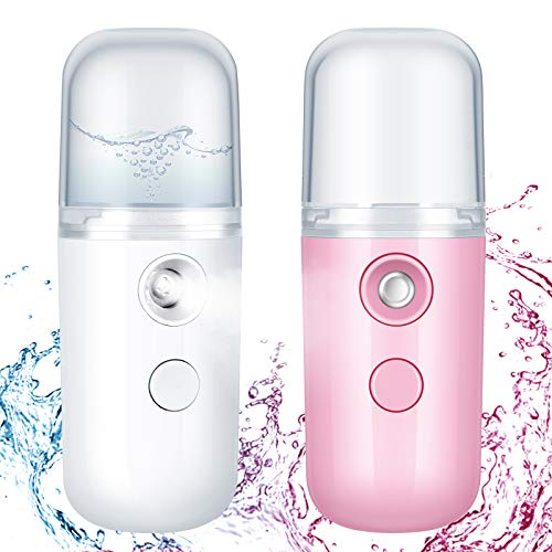 2 Piece Mini Face Humidifier Facial Sprayer
