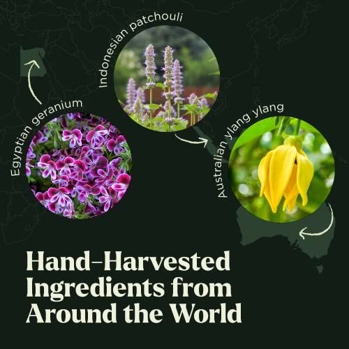 Essential Oils Set - Top 10 Organic Therapeutic-Grade Gift Set Blends for Fragrance