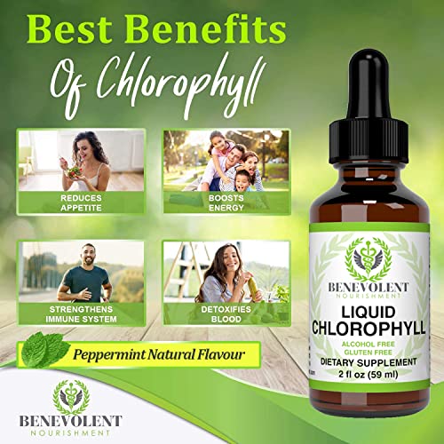 Chlorophyll Liquid Drops