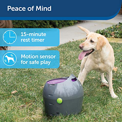 PetSafe Automatic Tennis Ball Launcher – Interactive Dog Ball Thrower – Adjustable Range – Motion Sensor – Indoor & Outdoor Toy – A/C Power or Batteries – Fetch Machine for Small to Large Dogs , Gray